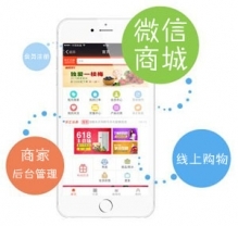 武汉小程序开发_武汉小程序开发