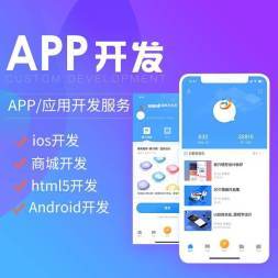 软件开发定制 商城定制小程序开发 专业团队按需定制